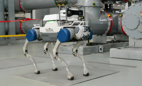 1766537124116594E475.png image.png