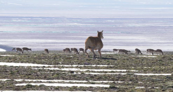 17665371624109537A3F.png image.png